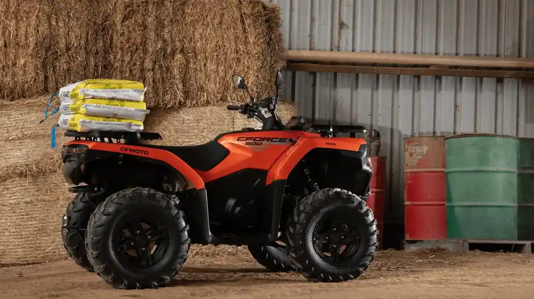 imagen_2026-01-14_124739860