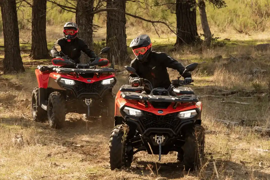 imagen_2026-01-14_124810428