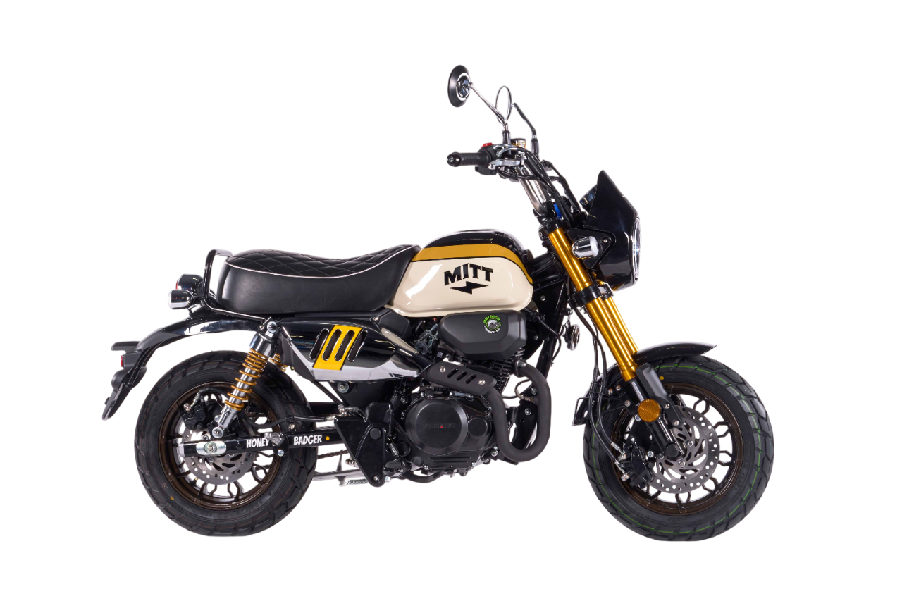 imagen_2026-02-10_165810517-Photoroom